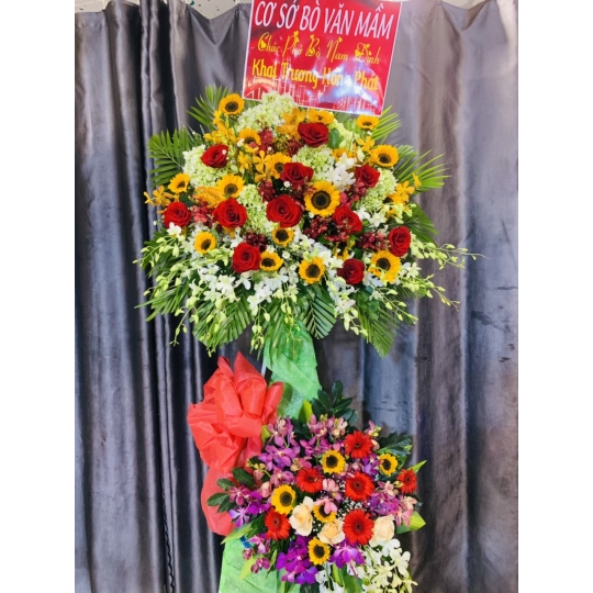 SẢN PHẨM 13