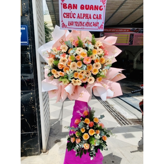 SẢN PHẨM 15