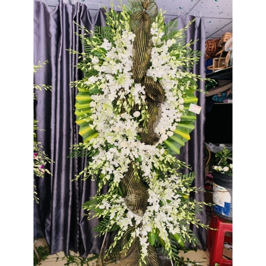 SẢN PHẨM 30