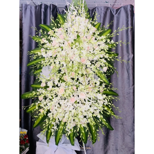 SẢN PHẨM 32