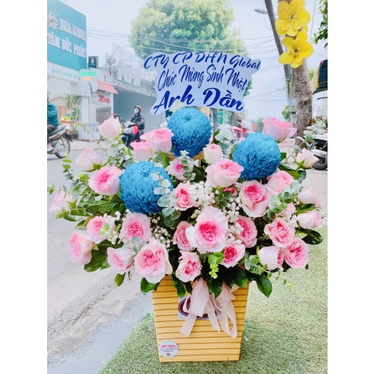 sản phẩm 65