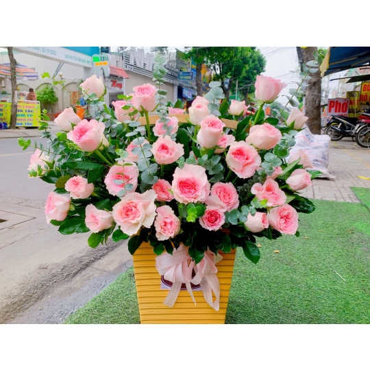 sản phẩm 63