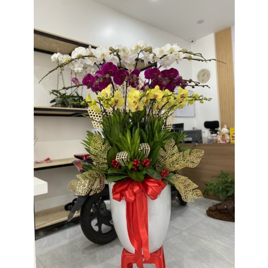sản phẩm 83