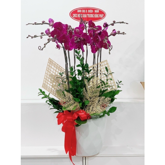 sản phẩm 80 