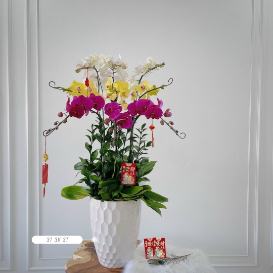 sản phẩm 78