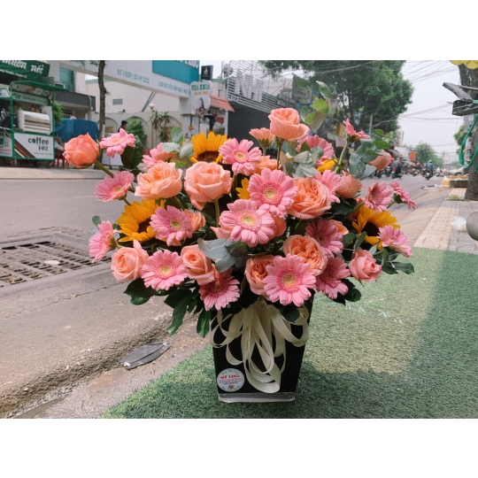 sản phẩm 96