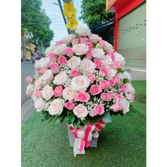 sản phẩm 97
